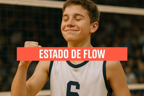 Estado-de-Flow_Mintal.jpg
